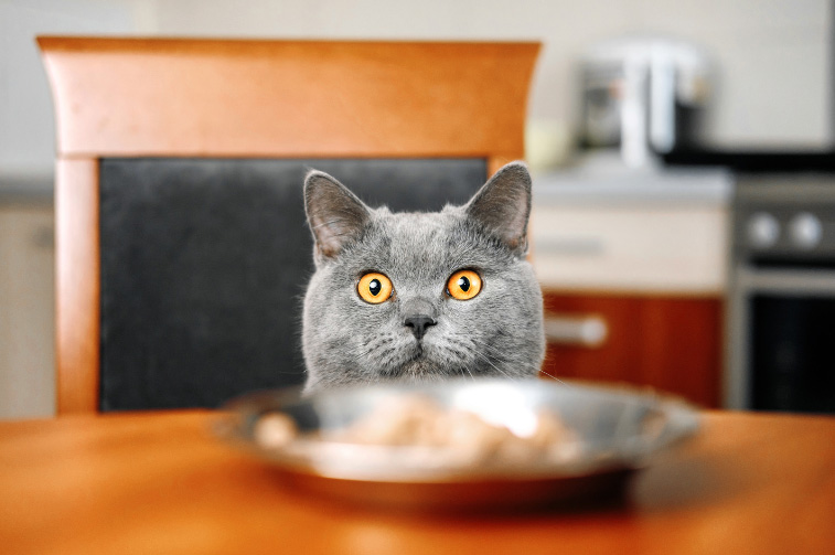 Ernährungsberatung - Anne Grunder