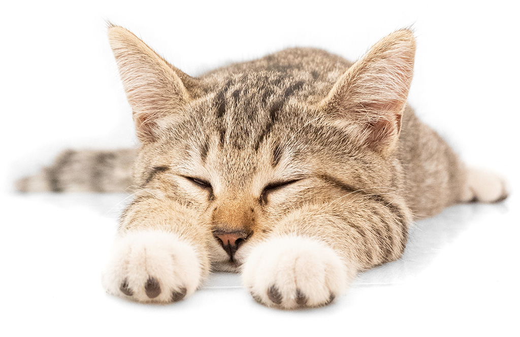 Ernährungsberatung - Anne Grunder